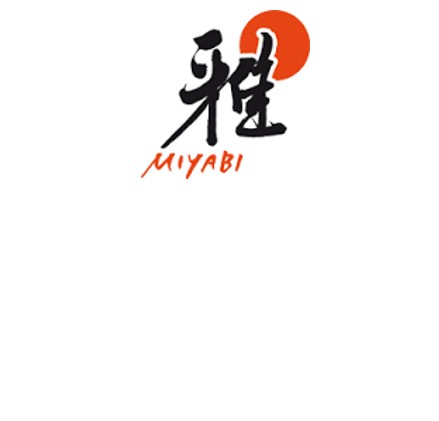 Miyabi Knife